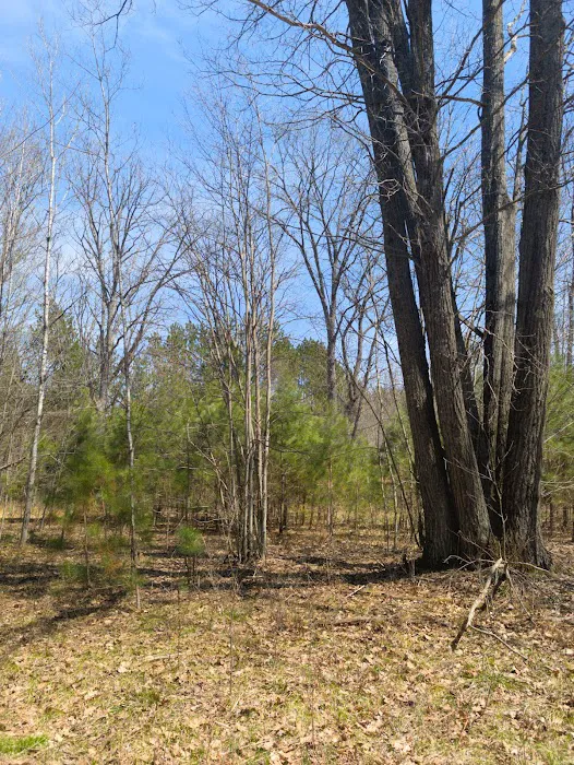 South Branch Trail Camp for the Shore to Shore Horseback and Hiking Trail Picture 7