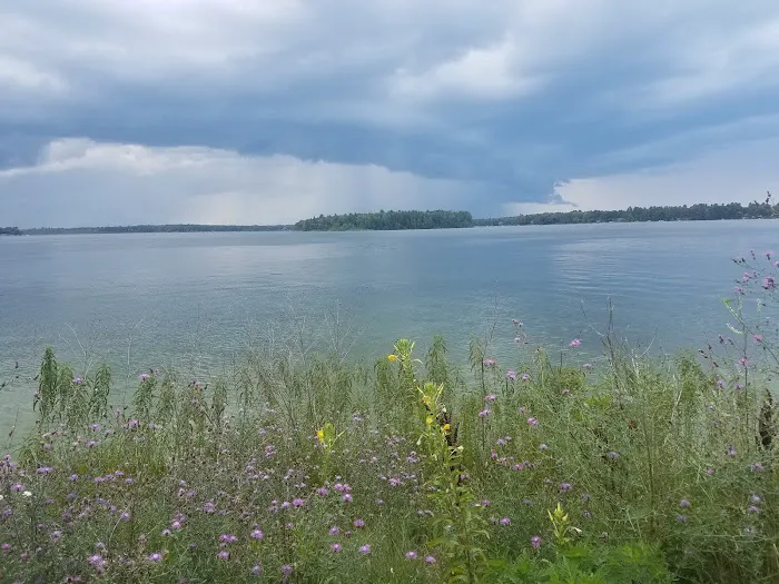 Van Etten Lake State Forest Campground Picture 4