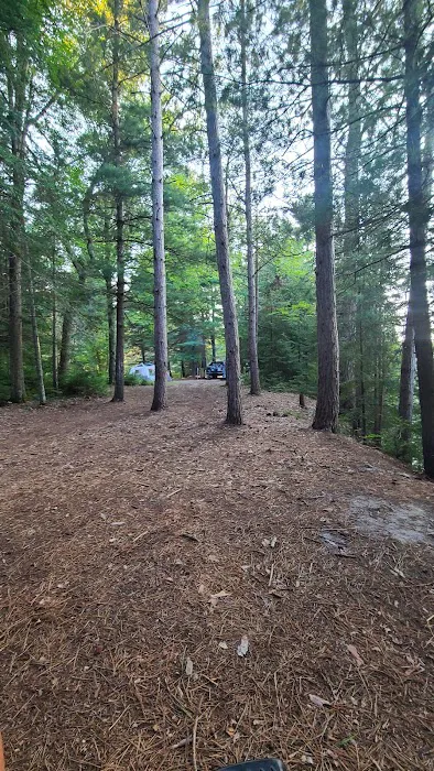 Ausable River Camping Site 77d Picture 1