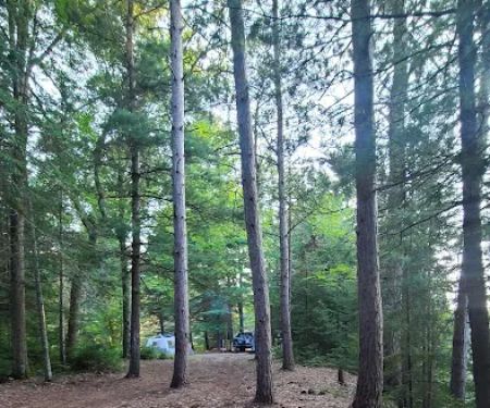Ausable River Camping Site 77d