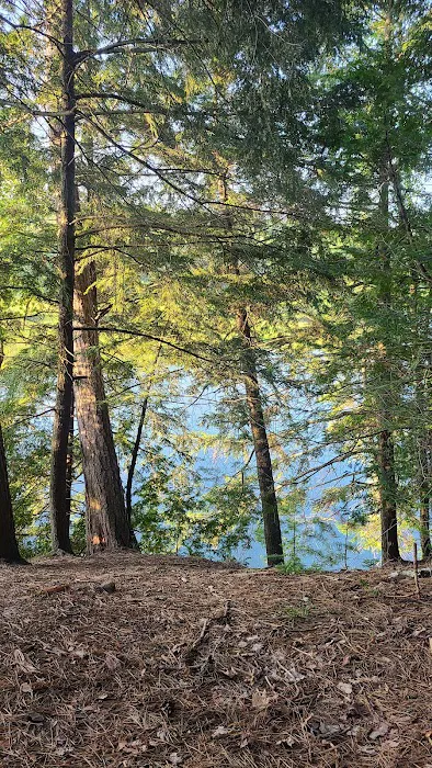 Ausable River Camping Site 77d Picture 6