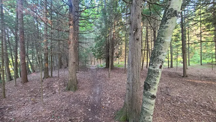 Ausable River Camping Site 77d Picture 5