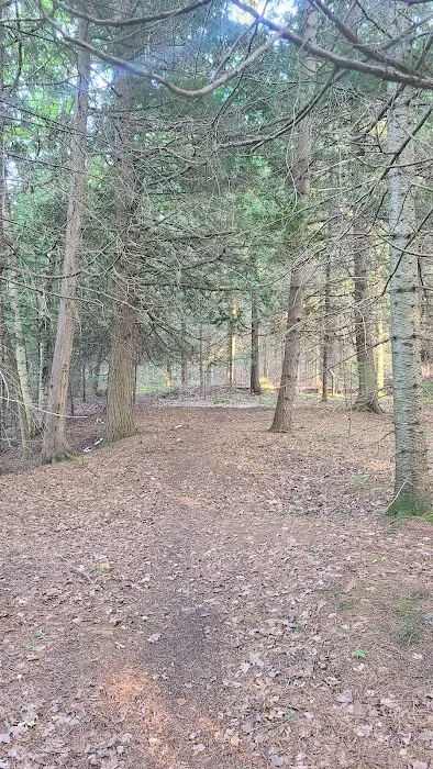 Ausable River Camping Site 77d Picture 8