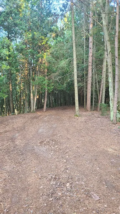 Ausable River Camping Site 77d Picture 7