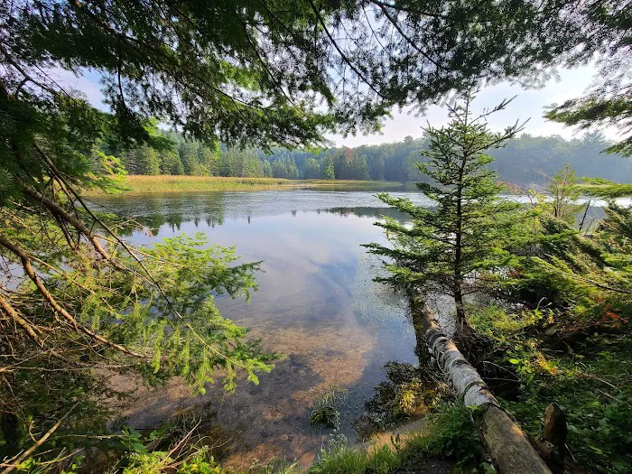 Ausable River Camping Site 76d Picture 3