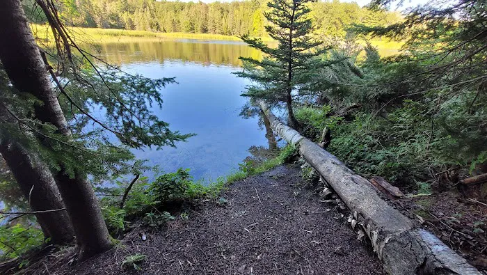 Ausable River Camping Site 76d Picture 10