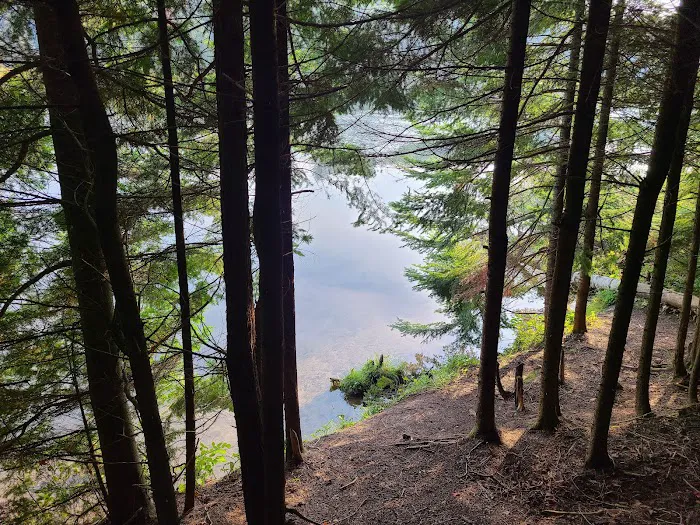 Ausable River Camping Site 76d Picture 8