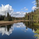 Ausable River Camping Site 82