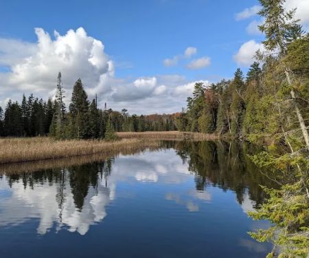 Ausable River Camping Site 82