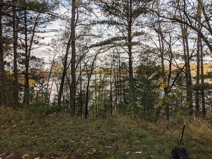 Site 073D Ausable River Camping Picture 2