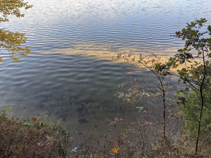 Site 073D Ausable River Camping Picture 1