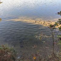 Site 073D Ausable River Camping ico