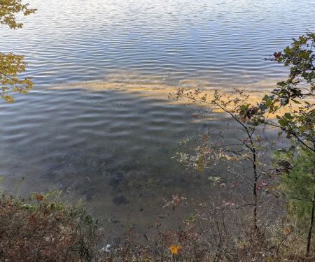 Site 073D Ausable River Camping