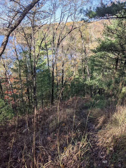 Site 073D Ausable River Camping Picture 4