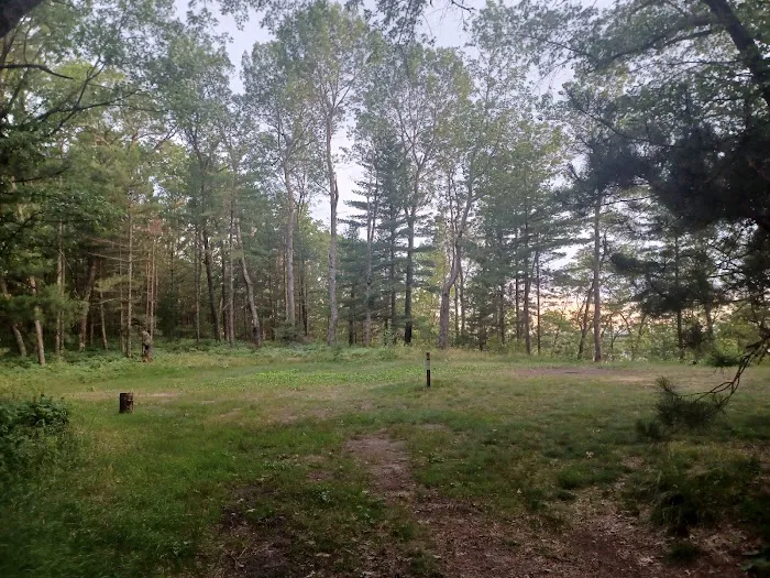 Site 073D Ausable River Camping Picture 5