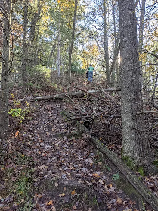 Site 073D Ausable River Camping Picture 9