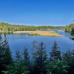 AuSable River Huron National Forest #68
