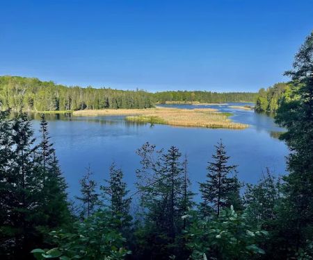 AuSable River Huron National Forest #68