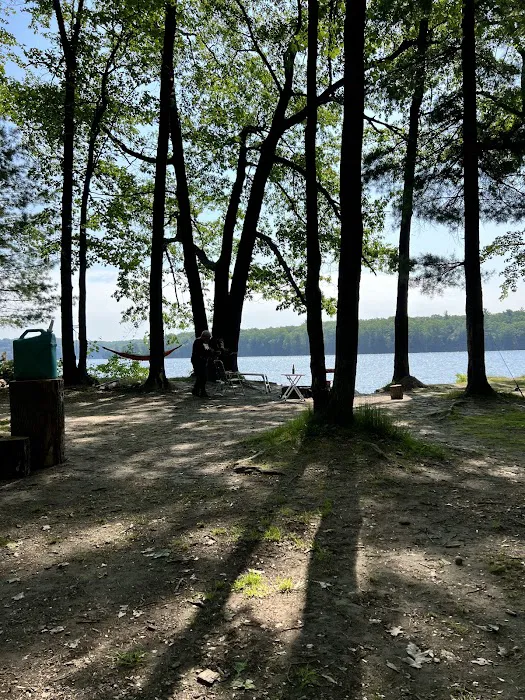 AuSable River Huron National Forest #68 Picture 9