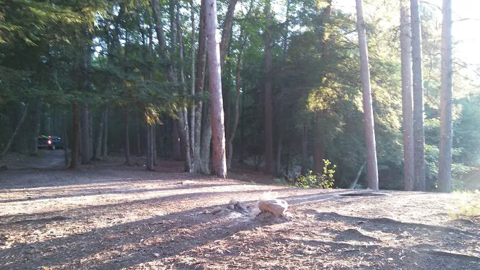 Ausable River Camping MI Site 069W Picture 1