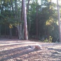 Ausable River Camping MI Site 069W ico