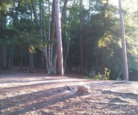 Ausable River Camping MI Site 069W