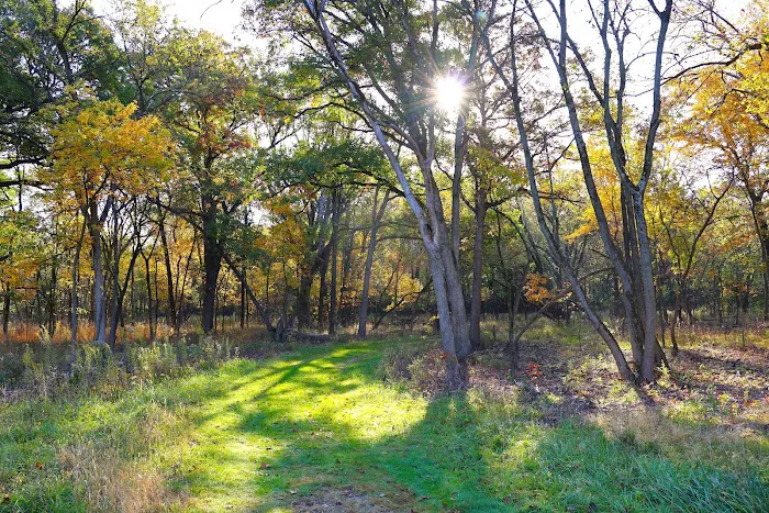 Camp Sullivan Picture 5