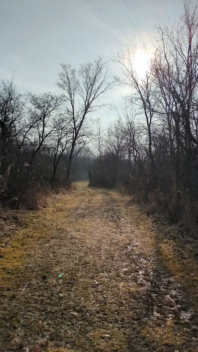 Goodenow Grove Nature Preserve Camping Pod Picture 3