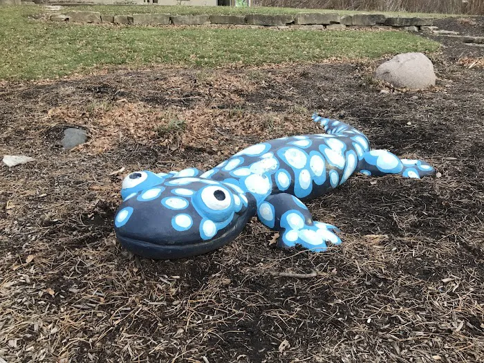 Plum Creek Nature Center Picture 7