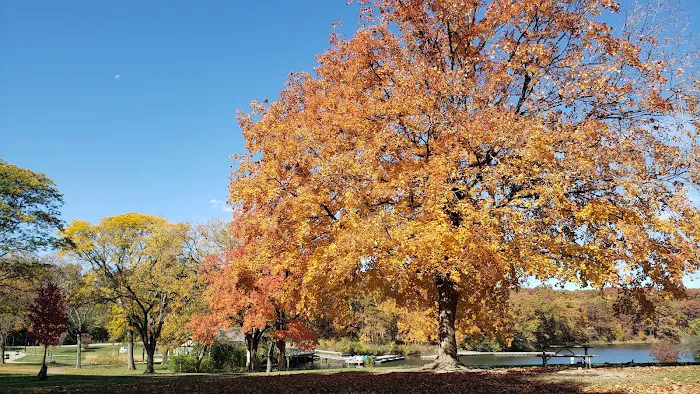 Camp Bullfrog Lake Picture 10