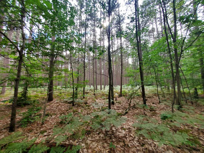 Sulak Campground Picture 2