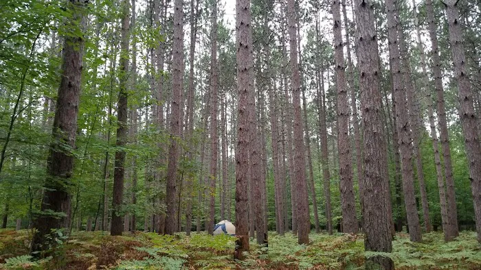 Sulak Campground Picture 9