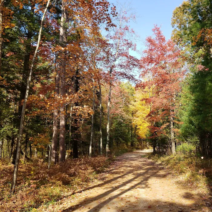 Timber Creek Campground Picture 7