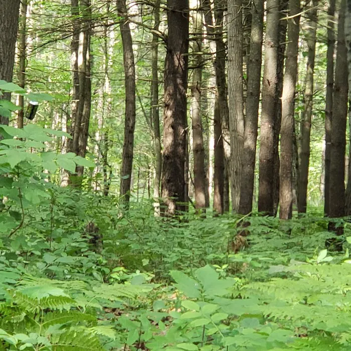 Timber Creek Campground Picture 9