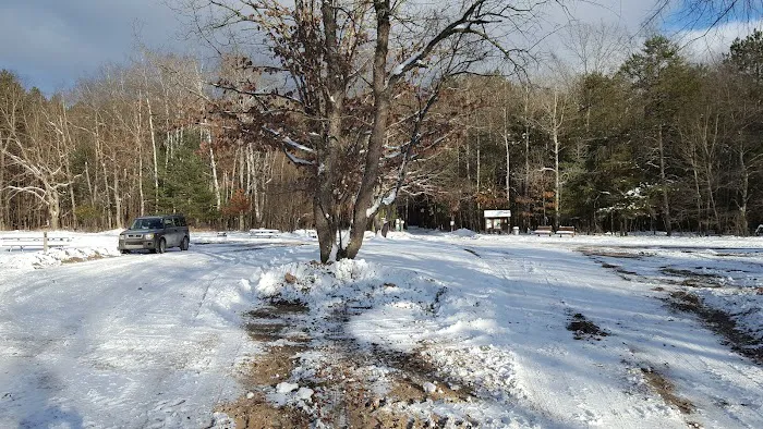 Timber Creek Campground Picture 8