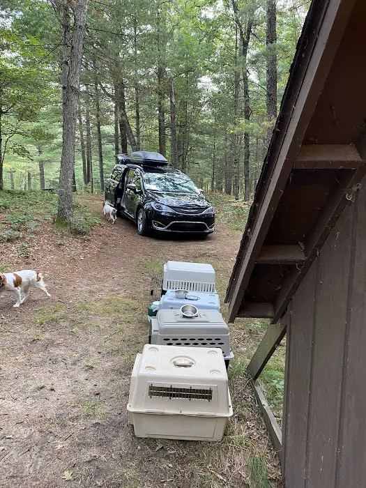 The Pines Campground Picture 10