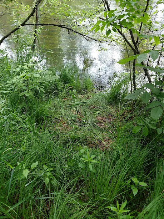 Old Grade Campground Picture 4