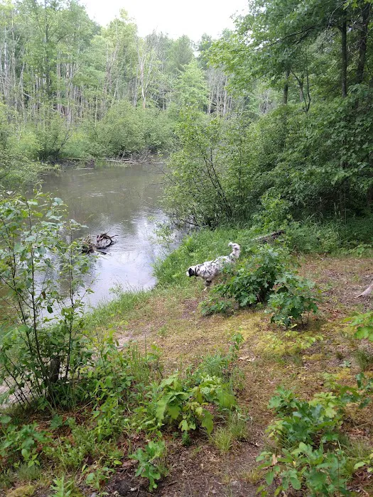 Old Grade Campground Picture 3