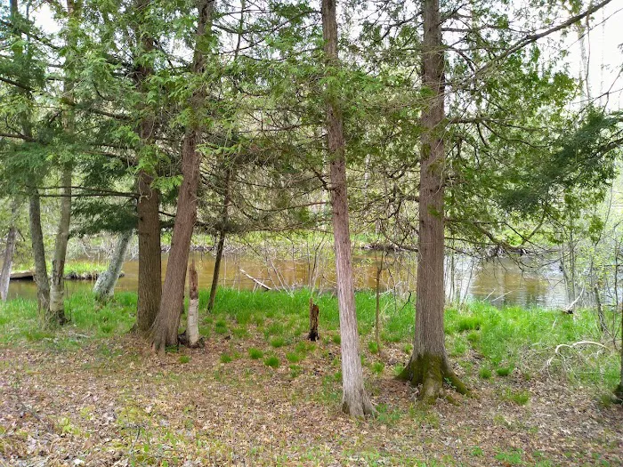 Old Grade Campground Picture 9