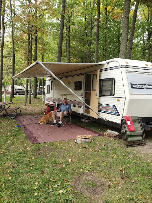 Timber Surf Camping Resort Picture 8