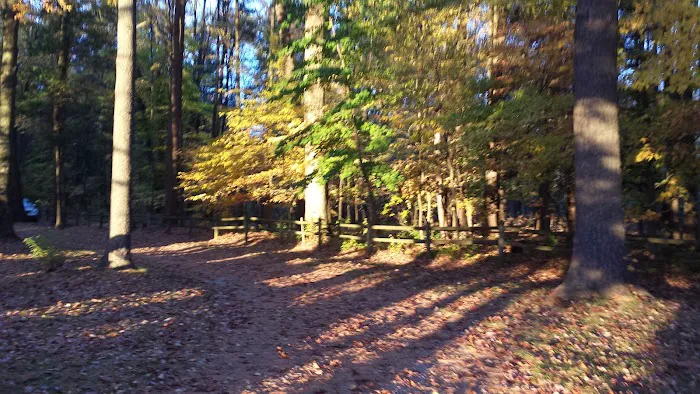 Timber Surf Camping Resort Picture 10