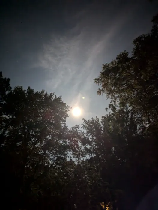 Harry L Swartz Campground Picture 10