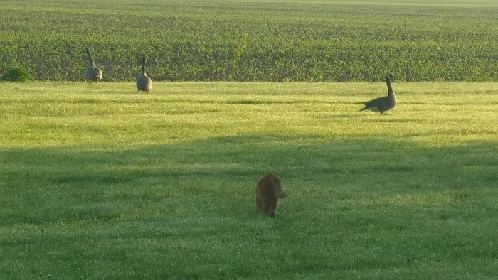 Prairie Pines Campground Picture 8