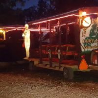 Timbered Meadows Association ico