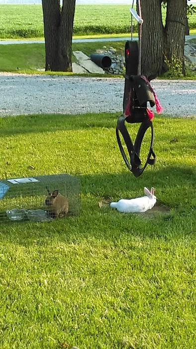 Timbered Meadows Association Picture 5