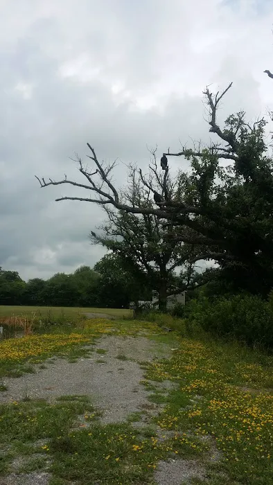 Timbered Meadows Association Picture 9