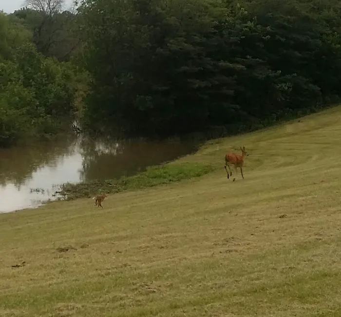 Timbered Meadows Association Picture 7