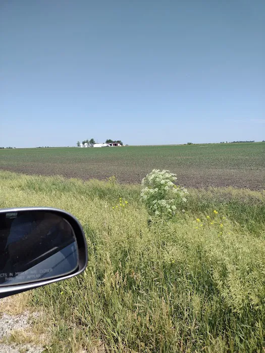 Timbered meadows campground Picture 2