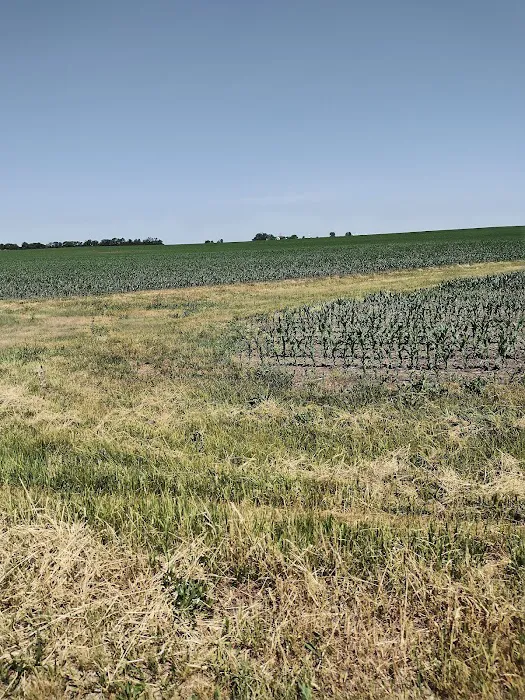 Timbered meadows campground Picture 8