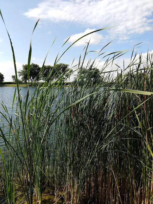 D & W Lake Camping & RV Park Picture 10